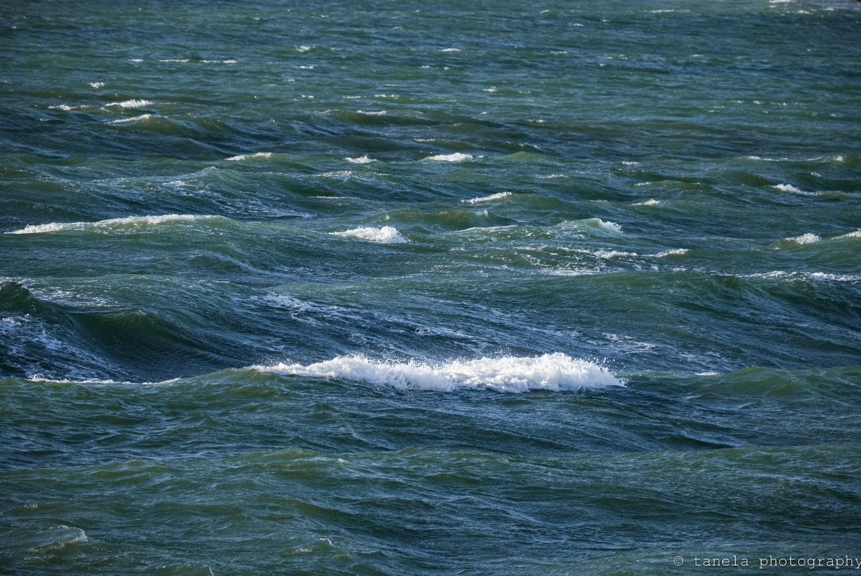 Irish Sea - Postcard 2-Pack