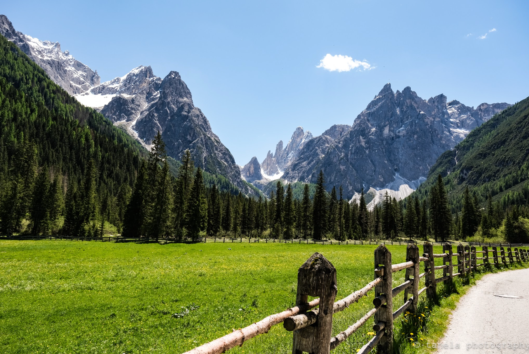 In the Alps - Postcard 2-Pack
